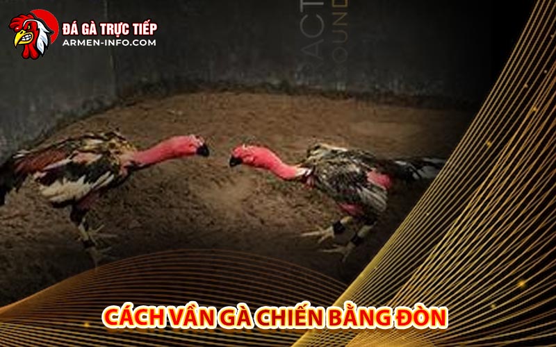Cách Vần Gà Chiến Bằng Đòn